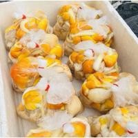 ราคา เห็ดระโงกสด ล้างสะอาด พร้อมปรุง ครึ่งกิโล (500 กรัม) ส่งแช่แข็ง (44252895587)