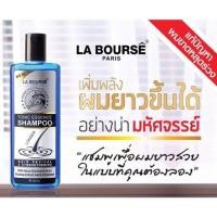 ราคา แชมพูเร่งผมยาว ลาบูส ไม่ทำให้ผมแห้งเสีย เร่งผมยาว บำรุงรากผม# LABourse essential tonic shampoo (10628427344)