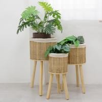 ราคา HAUS LIFE กระถางต้นไม้ เซต 3 ใบ (27770303622)