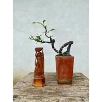 ราคา ต้นบอนไซ ตะโกนา Bonsai Tako (43360627199)