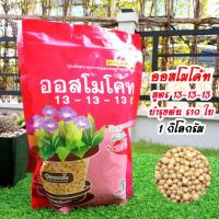 ราคา ออสโมโค้ท ปุ๋ยสูตรเสมอ 13-13-13 บรรจุ 1 กิโลกรัม บำรุงต้น ราก ใบ (12760695808)