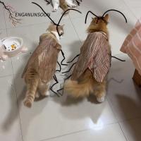 ราคา ENGANUNSOON ของเล่นแมว, ในร่มเล่นแต่งตัววัสดุแพ็คแมวแมลงสาบเสื้อผ้า, DIY อุปกรณ์สัตว์เลี้ยงอุปกรณ์เสริมคอสเพลย์ (42876357426)