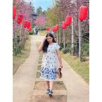 ราคา เดรส พื้นเมือง ผ้าฝ้าย เชียงใหม่ / ชุดพื้นเมือง (19078315913)