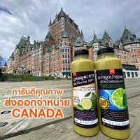 ราคา ✆☒แชมพูมะกรูด ORGANIC 300ml ลดคัน ลดผมร่วง ลดรังแค แชมพูสมุนไพร ไร้เคมี Organic Kaffir Lime Shampoo (13805821880)