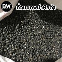 ราคา BeanWin ถั่วแขกพม่าผิวดำ สำหรับเพาะถั่วงอก 1 กก. อัตรางอกดี ถั่วงอก ถั่วเขียว ถั่วแขก (18844175434)
