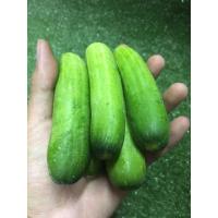 ราคา สด!!! แตงกวาสด - ผักผลไม้สด (43408951344)