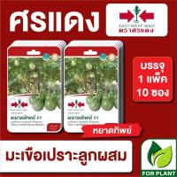 ราคา เมล็ดพันธุ์ผัก ผักซอง มะเขือเปราะ หยาดทิพย์ F1 ตราศรแดง บรรจุแพ็คล่ะ 10 ซอง ราคา 310 บาท (23766108064)