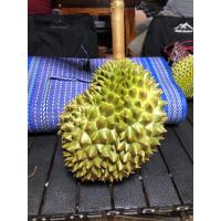ราคา ทุเรียนชะนีตราดลูกละ300บาท (24874535721)