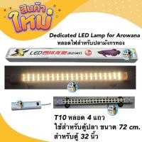 ราคา Dedicated LED Lamp for Arowana หลอดไฟสำหรับปลามังกรทอง T10 หลอด 4 แถวใช้สำหรับตู้ปลา ขนาด 72 cm. สำหรับตู้ 32 นิ้ว (21138860273)