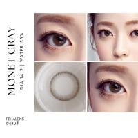 ราคา คอนแทคเลนส์ รุ่น Monet gray (74485800)