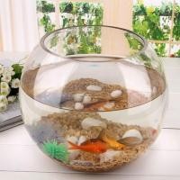 ราคา 8/10/12/15 ซม.รอบลูกแจกันแก้วใสถังปลาแจกัน Hydroponic Terrarium คอนเทนเนอร์ Micro ภูมิทัศน์ Moss ขวด (44011581357)