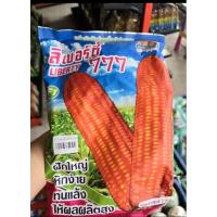ราคา เมล็ดข้าวโพด ลิเบอร์ตี้ 777 Liberty ขนาด 1 กิโลกรัม ตรา ตะวันต้นกล้า สำหรับปลูกให้สัตว์ เมล็ดข้าวโพดสัตว์ (28573201057)