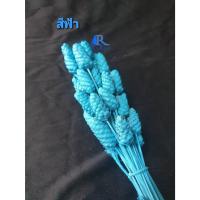 ราคา Rarin ดอกกระถินทุ่ง ทำสีเกรด A (สีฟ้า ) สวยมากกกก ใช้ตกแต่งแจกัน แต่งร้าน พร๊อพถ่ายรูป แต่งโต๊ะอาหาร (22534186856)