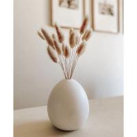 ราคา ดอกหางกระต่าย หญ้าหางกระต่าย หญ้าแห้ง หญ้าตกแต่ง หางกระต่ายธรรมชาติ มินิมอลหญ้าหางกระต่ายสีสวยๆ พร้อมส่ง (25335519740)