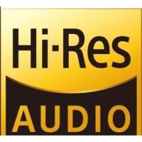 ราคา 50 ชิ้น Hi-Res สติกเกอร์เสียงสําหรับ Sony Walkman,Fiio,Shanling, Ibasso, Iriver, Cayin MP3 DAP และอุปกรณ์ Hifi ทั้งหมด (5259639824)