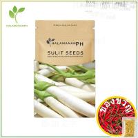 ราคา มะเขือยาว-เมล็ดพืชผักสีขาวบริสุทธิ์ซองซองเมล็ดพืช [Halamanan PH]玫瑰/苹果/ ⚝/seeds/园艺/男装/香菜/文胸/内裤/上衣/> 4QBU (20761616355)