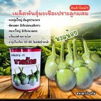 ราคา เมล็ดพันธุ์มะเขือเปราะนวลน้อย (Tiger Seeds) ขนาด 50 กรัม (29104432703)