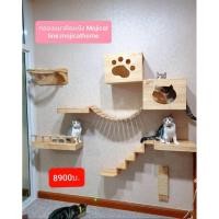 ราคา ชุดกล่องแมวติดผนังชุด3 (5568482878)