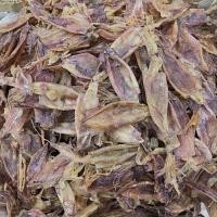 ราคา หมึกกล้วยจืด หมึกกล้วย แกะตาแกะไส้แล้ว สะอาดอบแห้งน้ำหนักเบา (กัลยาปลาหมึกแห้ง) (50850746585)