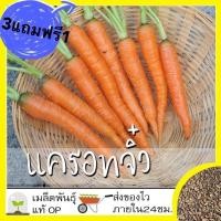 ราคา เมล็ดเบบี้แครอท (9961487894)