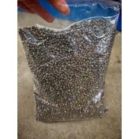 ราคา เมล็ดพันธุ์ถั่วแขก (ถั่วเขียวผิวดำ) 1​ กก. (25239297885)