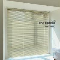 ราคา ใบปิดหลุมแบบซ่อนลาย บานเกล็ดอลูมิเนียม สีขาวครีม สำหรับงานตกแต่งและการอัพเกรด (50401130431)