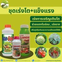 ราคา ชุดเร่งการเจริญเติบโตของพืช เอสซิง+รูทซ่า+โบดอส สุดคุ้ม❗️ (42313174308)