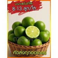 ราคา มะนาวแป้นรำไพ 1 กิโล คัดเกรด ผลโตเม็ดน้อยเก็บสดจากสวนเกษตรอินทรีย์ (27639203379)