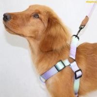 ราคา ชุดปลอกคอและสายจูงสำหรับสุนัขและแมวที่ดูดซับแรงกระแทกจาก PetSafe - เสื้อสายรัดที่ปรับได้พร้อมการสะท้อนแสงในสีสันสดใส (43964958283)