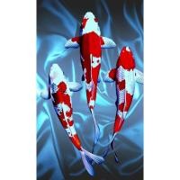 ราคา รูปโปสเตอร์ ปลาคาร์ฟ นำโชค ไม่มีกรอบ ขนาด 25*42 cm ติดผนัง ภาพมงคล เสริมฮวงจุ้ย ตกแต่งบ้าน (25886641109)