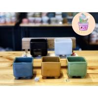 ราคา กระถางแคคตัส กระถางเซรามิก กระถางกระบองเพชร (8068551674)
