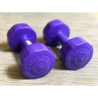 ราคา Dumbbell ดัมเบล 2 kg (มือสอง)— คู่ (3818982443)