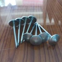 ราคา ตะปูสรรไท สกูรสรรไท ตะปูตอกเมทัลชีท ตะปูตอกหลังคาเหล็ก ตะปูสังกะสีอ้วน ตะปูสังกะสี 2" (6635941956)