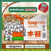 ราคา สแฟกนั่มมอส นิวซีแลนด์ Spagmoss (150 กรัม) เบสโกรว์สแปกนั่มมอส besgrow Sphagnum Moss วัสดุปลูกกล้วยไม้ วัสดุปลูกคุณภาพ (7897239469)