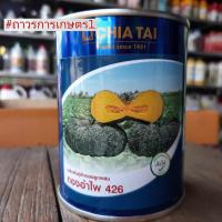 ราคา ฟักทองลูกผสม,พยัคฆ์ภูธร,ทองอำไพ426(ฟักทองผิวคางครก-ลูกใหญ่-เนื้อเหนียว)100กรัม (23585321766)