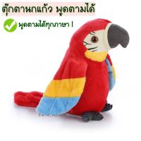 ราคา Alpha นกแก้ว พูดได้ ตุ๊กตานกแก้ว ตุ๊กตาพูดตาม ตุ๊กตาพูดได้ นก ตุ๊กตา (8604600346)