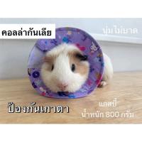 ราคา พร้อมส่งในไทย คอลล่าหนูแกสบี้ คอลล่ากระต่าย ชินชินล่า กันเลียแผล กันเกาตา กันติดเชื้อ (41501513462)