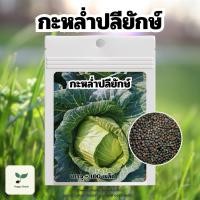 ราคา เมล็ดพันธุ์กะหล่ำปลียักษ์ บรรจุ 100 เมล็ด (Giant Russian Cabbage Seed) พร้อมคู่มือปลูก เมล็ดพันธุ์ผัก เมล็ดพันธุ์พืช (28968669498)