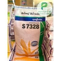 ราคา เมล็ดพันธุ์ข้าวโพด NK S7328 (3หุน,3.5หุน) * ขนาด 10 กก. ฝักใหญ่ได้นํ้าหนัก ปรับตัวเก่ง แกร่งทน ผลผลิตสูง (44354263211)