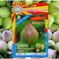 ราคา เมล็ดดอกบัวหลวงคละสี​ ขาวและชมพู​ 10 เมล็ด (2030664690)