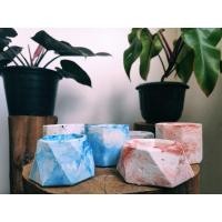 ราคา กระถางปูนกระบองเพชร ไม้จิ๋ว (4355221567)