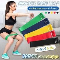 ราคา ยาง ยืด ออกกําลังกาย ยางออกกำลังกายขา ยางยืดวงแหวน ชุด 5เส้น เชือกออกกําลังกาย สายยืดออกกําลังกายแขน (44018770940)