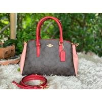 ราคา MINI SAGE CARRYALL IN COLORBLOCK SIGNATURE CANVAS (COACH F50054) (2855448664)