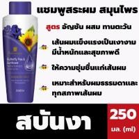 ราคา สบันงา แชมพูสมุนไพร สูตรอัญชัน 250 มล. สีม่วง บำรุงเส้นผม ดกดำและเงางาม (0216) (2496366111)