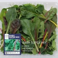 ราคา [ตัดสดทุกออเดอร์] เบบี้ซุปเปอร์มิกซ์ (Baby Super Mix) เบบี้ลีฟ [ส่งด้วยรถควบคุมอุณหภูมิ] (16598777865)