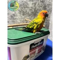 ราคา อาหารลูกป้อน A21 (แบ่งขาย) (25485295579)