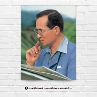 ราคา พระฉายาลักษณ์ รัชกาลที่9 พระบาทสมเด็จพระบรมชนกาธิเบศร ร9 ขนาด 15x21 นิ้ว สำหรับใส่กรอบ หรือติดผนัง (11023496710)