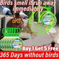 ราคา Birds คือ absent ไล่นกกลางแจ้ง 6 ชิ้น Penghalu burung merpati Pigeons ขับไล่ Anti BIRD Crow Repellent (26381449814)