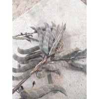 ราคา ถั่วครกหรือที่เรียกว่าถั่วขอ (24472423652)