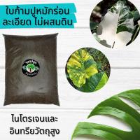 ราคา ใบก้ามปูหมัก ร่อนละเอียด ใบก้ามปูแท้ 100% (8784016817)